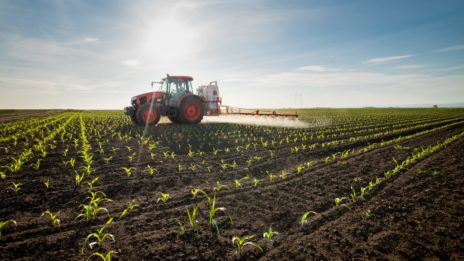 tractor spraying field of corn with herbicide