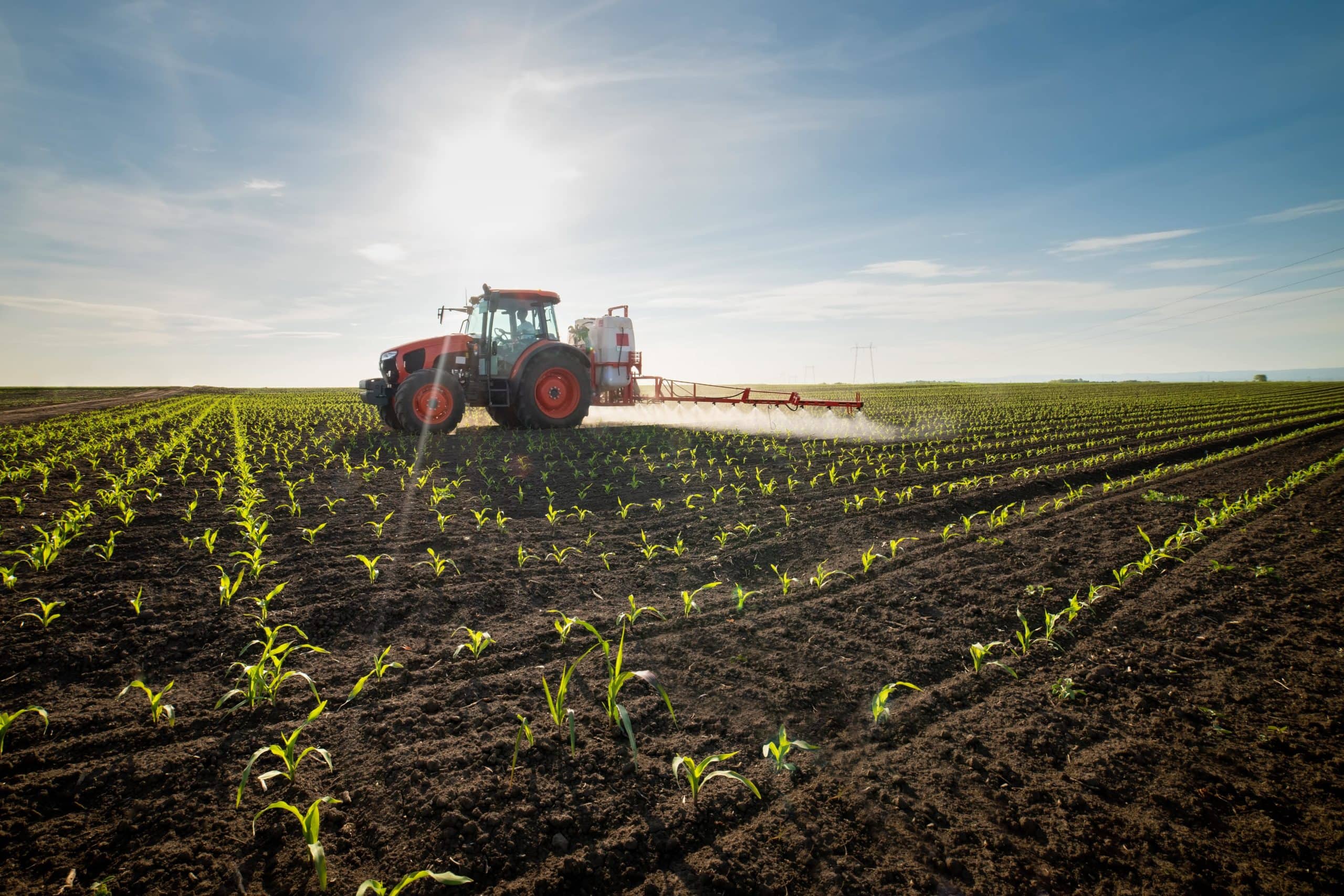 tractor spraying field of corn with herbicide